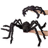 Величезний павук RESTEQ іграшка. Великий чорний тарантул 75 см, фото 5