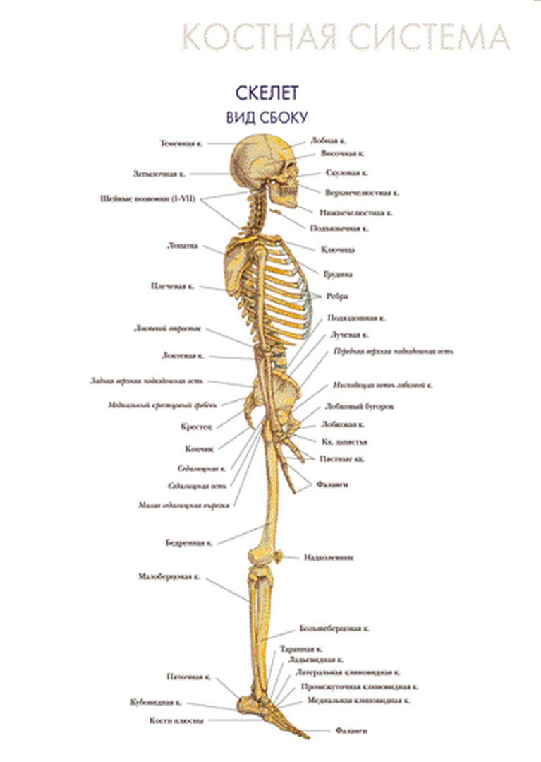 Өте ұялшақ қыздардың порносын қараңыз