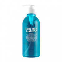 Освіжний шампунь із ментолом для проблемної шкіри голови ESTHETIC HOUSE CP-1 Head SPA Cook Mint Shampoo