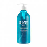 Освежающий шампунь с ментолом для проблемной кожи головы ESTHETIC HOUSE CP-1 Head SPA Cook Mint Shampoo