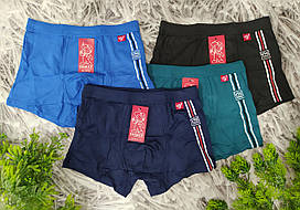 Дитячі труси M на 6-7 років для хлопчика бавовна Vericon VI-535B