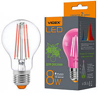 Светодиодная лампа VIDEX Filament A60FF 08W E27 1200K 220V