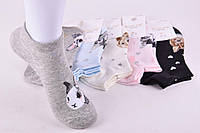 Носки женские короткие принт "AURA" COTTON | Набор носков женских заниженных, 5 пар, высокое качество, 35-38