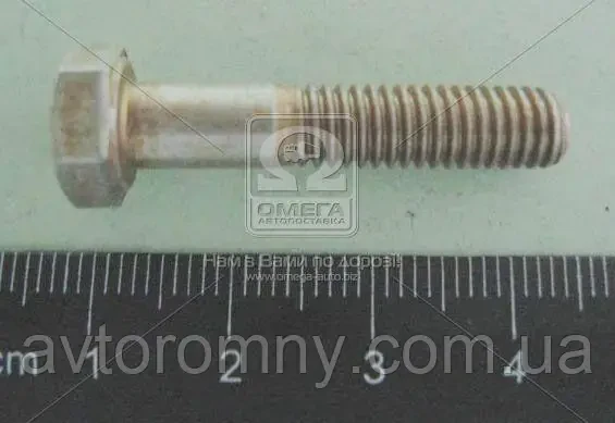 Болт М6 30 заспокоювача ланцюга насоса масляного ВАЗ 2101 2102 2103 2104 2105 2106 2107 2121 21213 Нива
