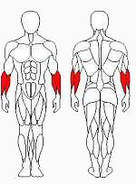 Тренажер для кистей рук Fit Sport (1221), фото 2