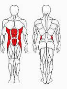 Тренажер твістер машина Sport Fit (1229), фото 2