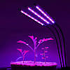 Уцінка! Фітолампа світлодіодна для рослин Plant GrowLight-3 з таймером, чорна, фото 3