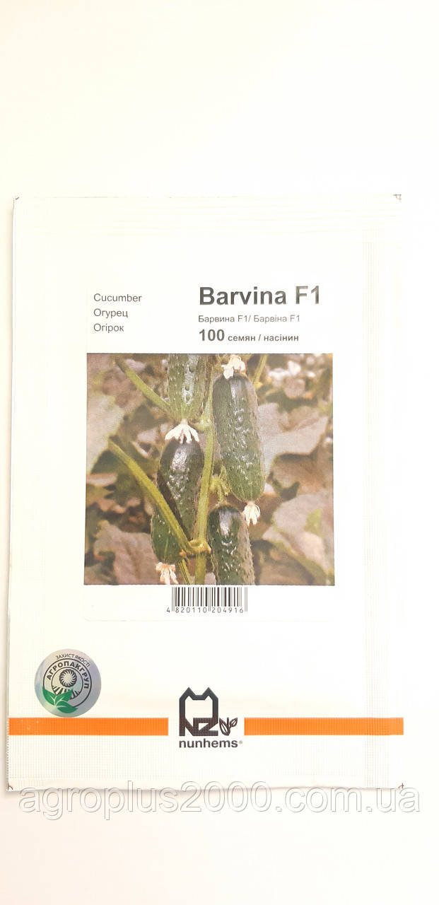 Насіння Огірок партенокарпічний Барвіна F1 ,100 насінин Nunhems