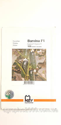 Насіння Огірок партенокарпічний Барвіна F1 ,100 насінин Nunhems, фото 1