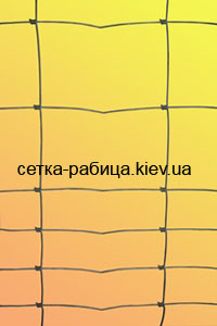 Збільшуються по висоті чарунки шарнірної сітки.