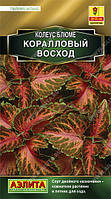 Семена Колеус Коралловый Восход 10 семян Аэлита