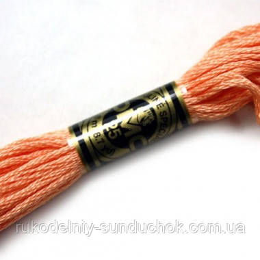 Муліне DMC 3825 (ДМС) франція (оригінал)