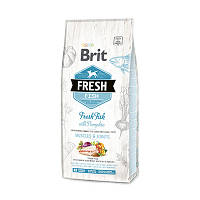 Сухой корм для взрослых собак крупных пород  Brit Fresh Fish/Pumpkin Adult Large с рыбой 12 кг