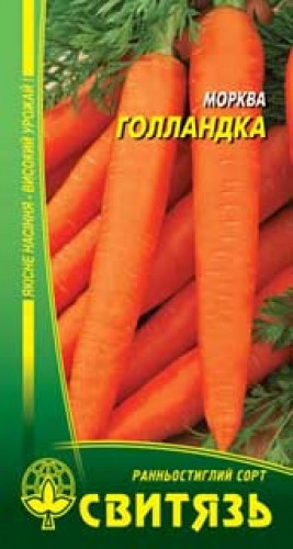 Насіння морква столова Голландка 5 г Свитязь