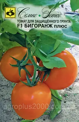 Насіння Томат індетермінантний Біг Оранж Плюс F1, 5 насіння Семко Юніор, фото 2