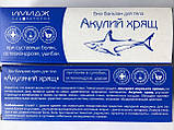 Імідж Акулій хрящ якщо ревматичні болі, болі при піднятті тяжкості, радикуліт, артрити та поліартрит, фото 4