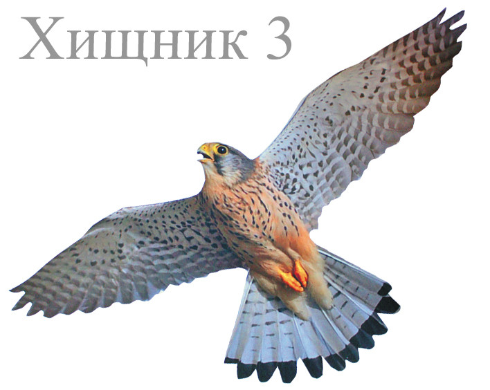 Візуальний відлякувач птахів "ХИЖАК-3" 40x80 см від ластівок, голубів, горобців