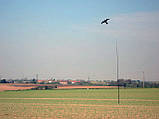 Відлякувач птахів КРУК, комплект з флагштоком на 5,5 м. від ворон, шпаків, бакланів, голубів, фото 3
