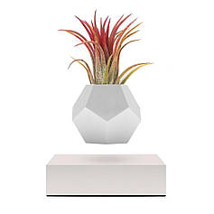 Вертикальні лампи