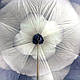 Парасоля жіноча подвійна Walking Sticks «CAMELIA» / шовковий купол 105 см, фото 2