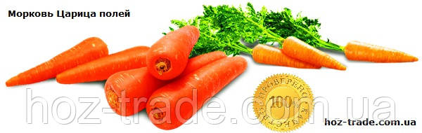Семена моркови Царица полей среднеспелая, 20 г. - фото 3 - id-p257458162