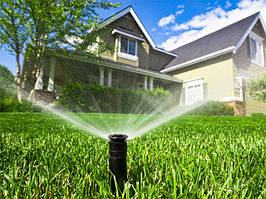 Капельний полив участку.