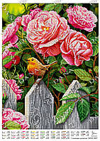 Схема для вышивки В цветущих розах