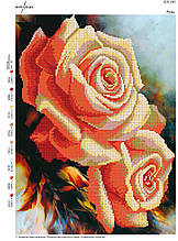 Вишивка бісером Троянди №103