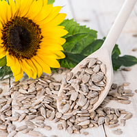 Насіння соняшника кондитерське (250 г)