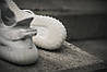 Кросівки Adidas Yeezy Boost 350 V2 Cream/Triple White - CP9366, фото 8