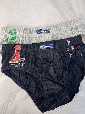 Дитячі трусики плавки 100% блощиць ТМ INDENA з драконами 006