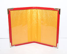 Обкладинка для автодокументів (10446)