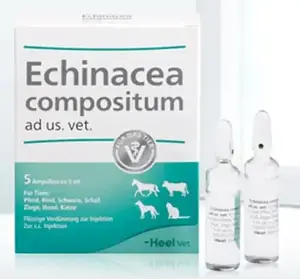 Гомеопатичні препарати для домашніх тварин