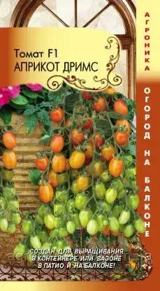 Насіння Томат кистьовий Черрі Априкот Дрімс F1, 8 насіння Агроніка, фото 2