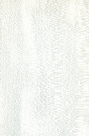 Шпон Платан Муар Фарбований Табу Арт. 33.N.010