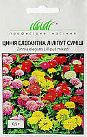 Цінія елегантна Ліліпут суміш 0,5 г