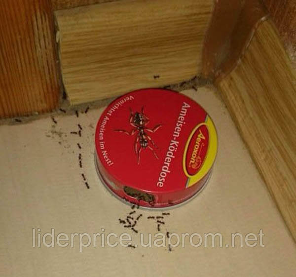 Органическая приманка от муравьев Ameisen, Германия - фото 4 - id-p1433865967