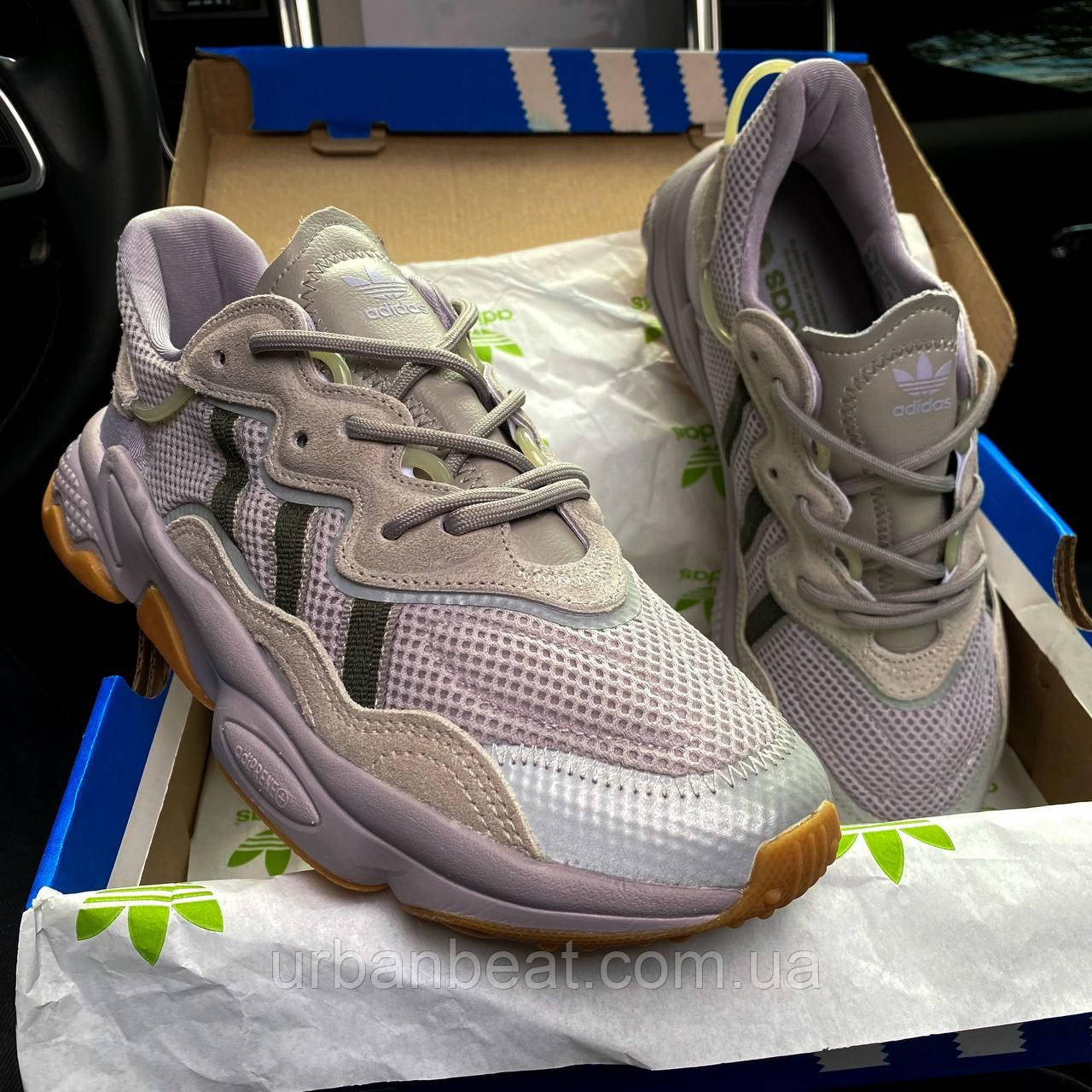 Жіночі кросівки Adidas Ozweego