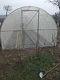 Теплиця "Світлиця - 10" 3х10х2м, труба 20х20х1 мм з плівкою 150 мкм і зигзаг профілем, фото 8