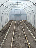 Теплиця "Світлиця - 10" 3х10х2м, труба 20х20х1 мм з плівкою 150 мкм і зигзаг профілем, фото 4