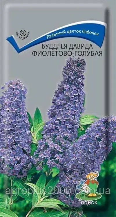 Насіння Будлея Девід фіолетово-блакитне 0,01 грама Пошук
