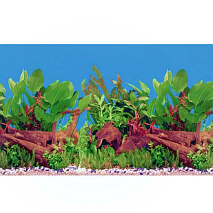 Фон №9059 для акваріума з висотою 60 см