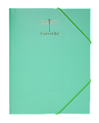 Папка на гумці А4 BM.3954-38 PASTEL м ятна (20/120)