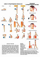 Советы по предупреждению спинной боли. Упражнение по предупреждению боли в шеи - плакат