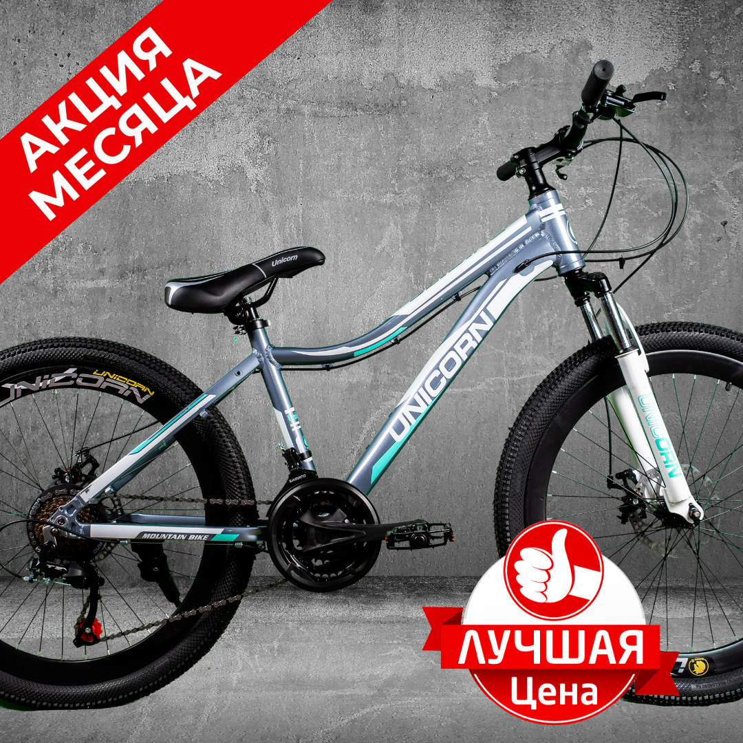 Підлітковий Гірський Велосипед З Алюмінієвою Рамою 24 Дюйми Unicorn ...