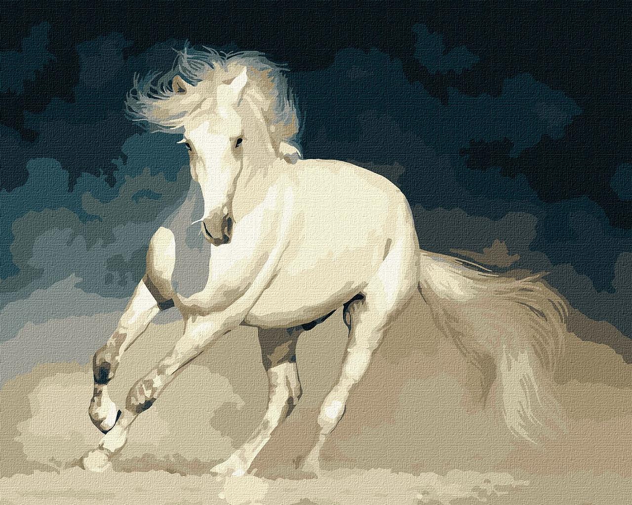 Картина за номерами 40×50 см. Білий граційний кінь. Ідейка. КНО4324