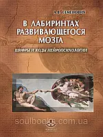 В лабиринтах развивающегося мозга. Шифры и коды нейропсихологии. Семенович А.