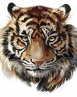 Алмазна вишивка. Картина на підрамнику "Мудрий тигр", розмір 20х30 см