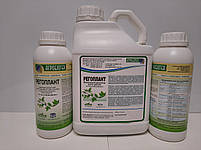 РЕГОПЛАНТ - Активатор росту рослин. Зняття стресу / Післядія на рослині. Біостимулятор РЕГОПЛАНТ, фото 8