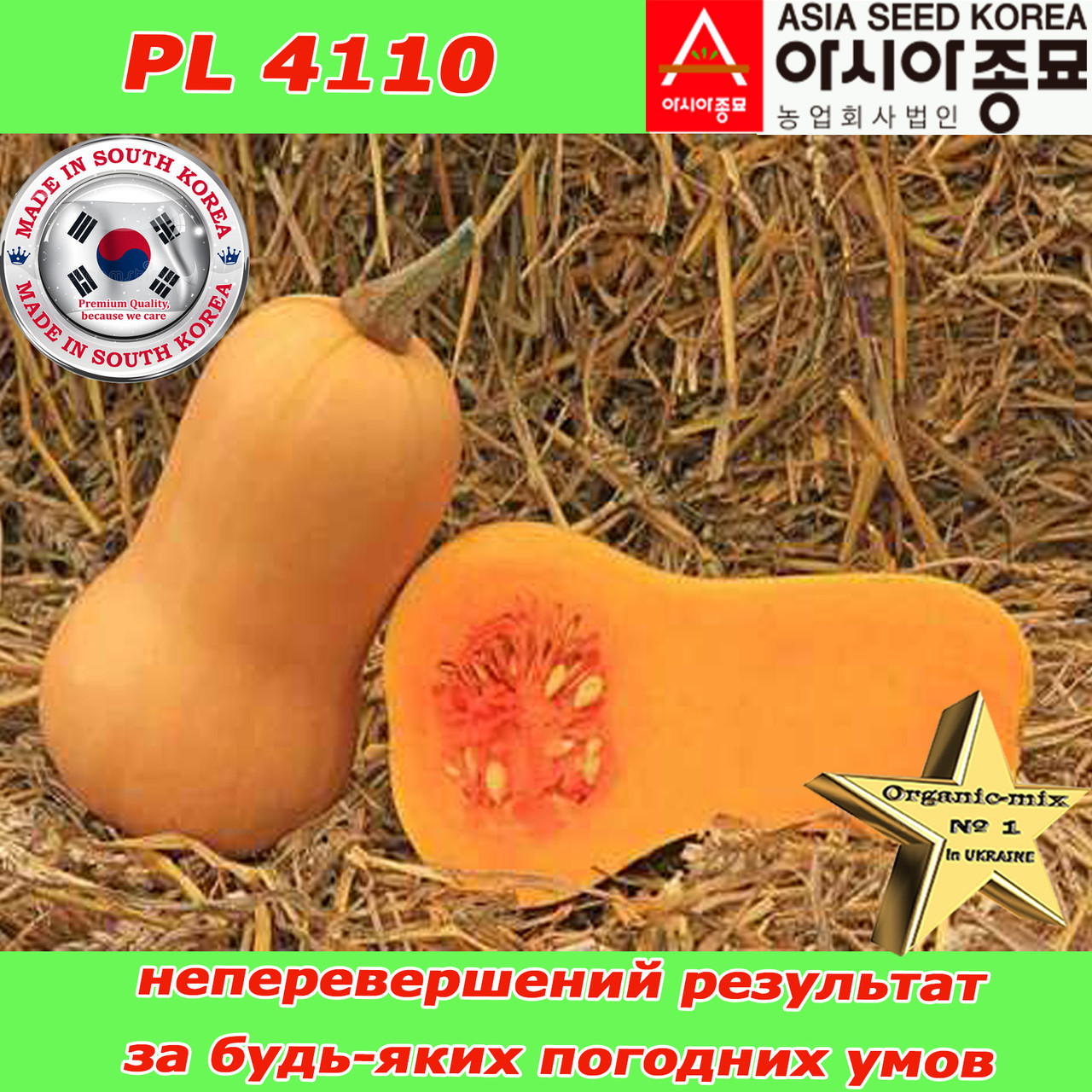 Гарбуз надрожайний, тип Батернат, PL 4110 F1 (500 насіння, проф.пакет), Південна Корея, ТМ Asia Seed